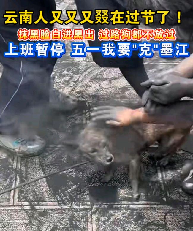 云南人：谁都别想白着回去咖啡粉引领狂欢开云电竞(图4)