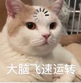 苹果官宣“最猛”新品这次能整波大的?(图7)