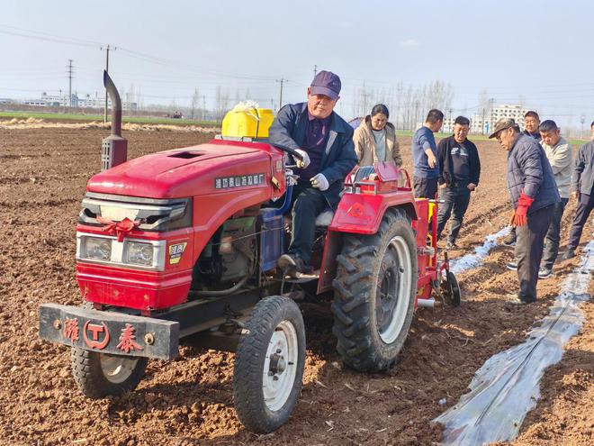 潍坊诸城:黑玉米变成农民“致富宝”(图2)