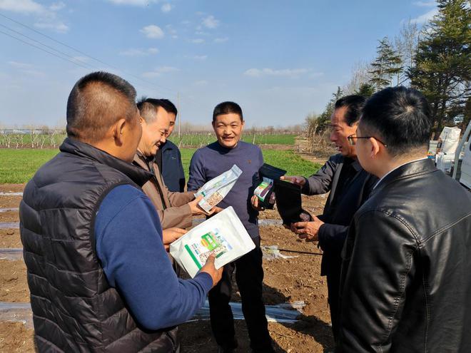 潍坊诸城:黑玉米变成农民“致富宝”(图1)