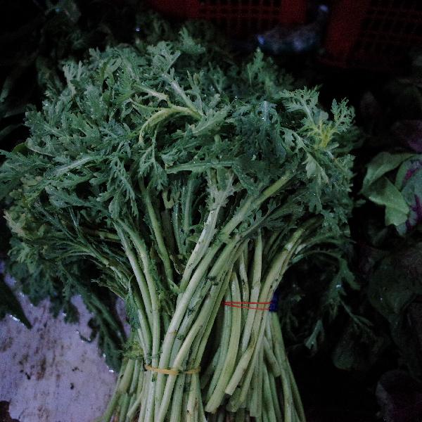 上海松月楼素菜包倒闭了吗(图3)