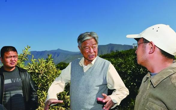 开云电竞19年“烟草大王”褚时健去世墓地造价超百万总面积达一亩(图18)
