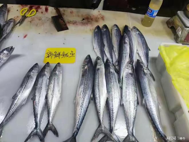 开云电竞app:不是迷信！明日谷雨老传统讲究：1要踩、2不留、3要吃、4不洗(图5)