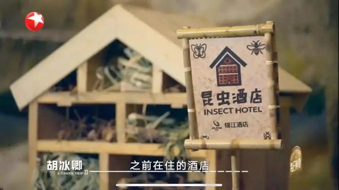 关上灯点亮希望酒店为地球献出的一小时还有价值吗？(图11)