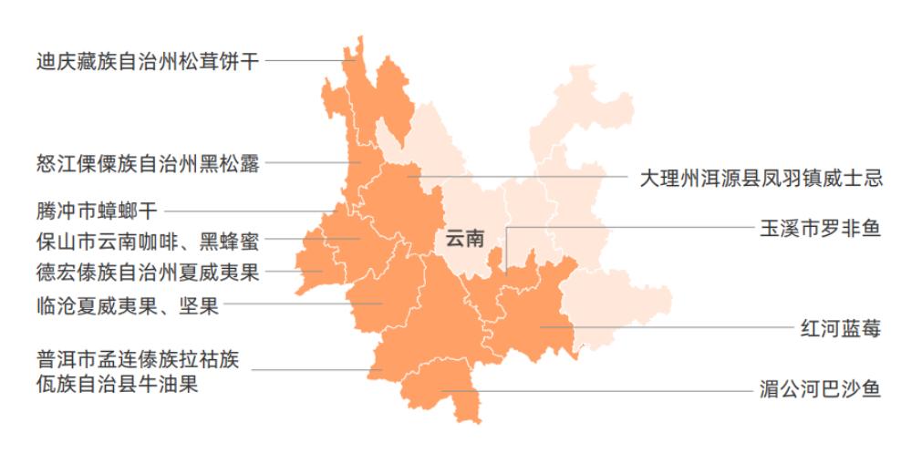 kaiyun开云电竞:中国小县城正在悄悄生产“世界级”高端土特产？(图2)