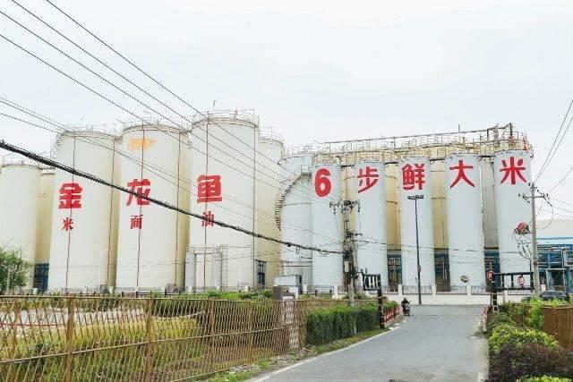 金龙鱼发布2025年一季报实现营收、净利双增长(图2)
