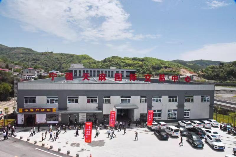 kaiyun开云电竞:天赐“神药”天麻的“宁强传奇”(图2)