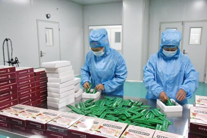 kaiyun开云电竞:天赐“神药”天麻的“宁强传奇”(图10)