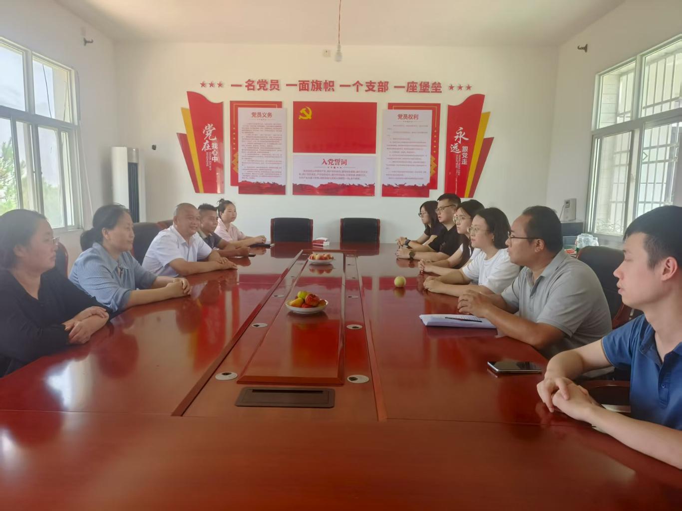 开云电竞网站:丁元村：荒坡变金山“桃经济”绘就乡村振兴甜蜜画卷(图7)