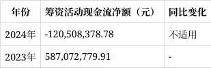 开云电竞app:南通星球石墨2024年报解读：营收下滑1792%财务费用激增12597%(图14)