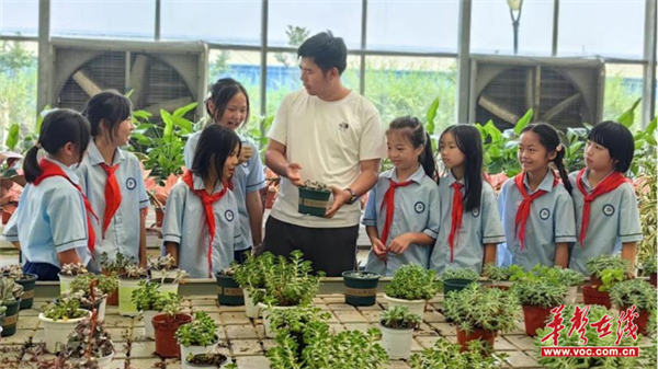 开云电竞app:湖南环境生物职院携手灵官庙小学开展科普实践活动(图2)