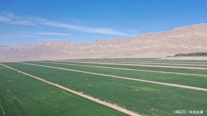 乡村振兴丨清淤造地项目激活土地潜能收获多重效益(图7)