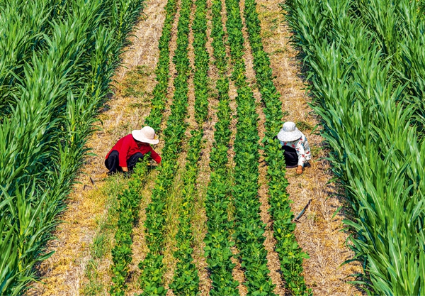 开云电竞安徽样本：看中国如何抢占创新制高点(图2)