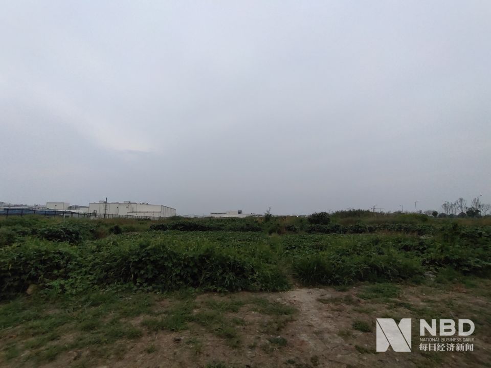 开云电竞网站:BeyondMeat独家回应嘉兴建厂：将提供三种植物肉未来有望降低定价(图6)