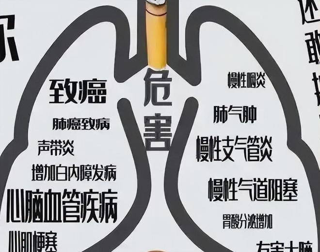 开云电竞:4种香烟或被列入“黑名单”建议老烟民认真看烟瘾再大也别抽(图3)