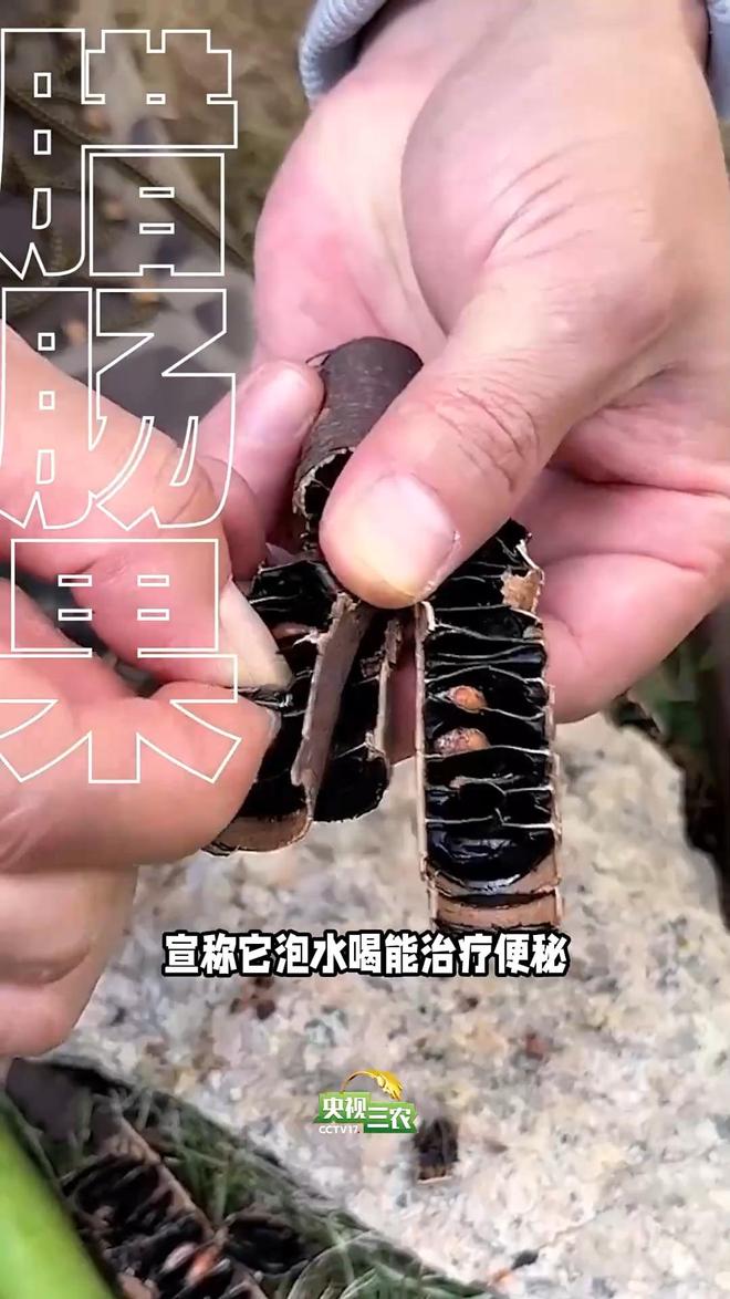 开云电竞入口:避坑指南：这几种“奇葩果”买了就后悔(图3)