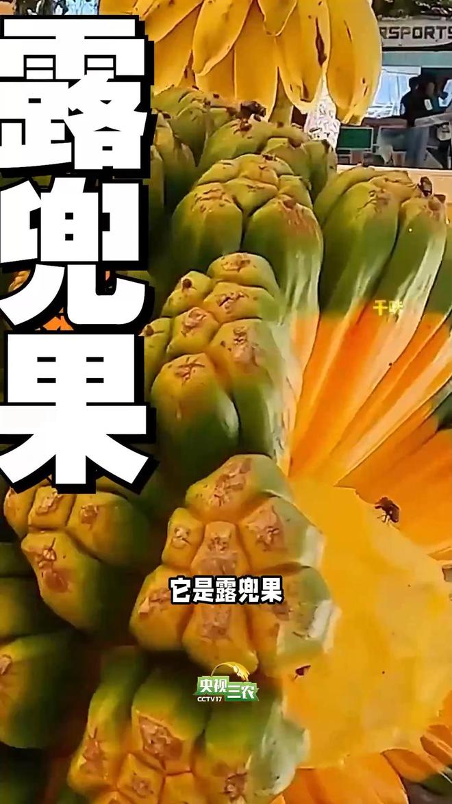 开云电竞入口:避坑指南：这几种“奇葩果”买了就后悔(图2)