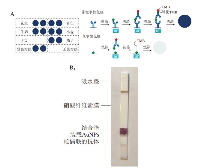 开云电竞app:《食品科学》：中国农业大学程楠副教授等：食品中麸质及其生物传感检测方法研究进展(图7)