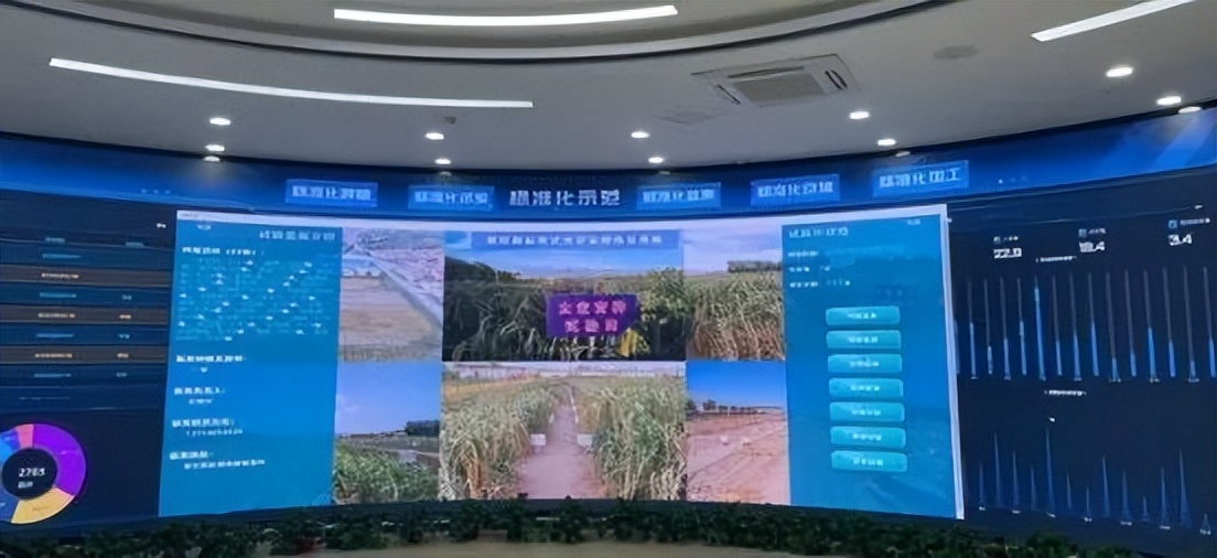kaiyun开云电竞:中国小米的国家记忆：从小米加步枪到金色产业(图10)