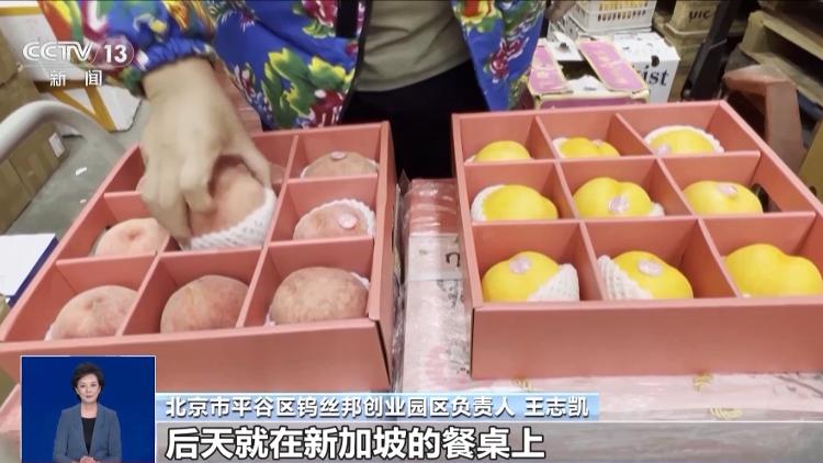 从枝头“鲜”到餐桌中国水果如何跨越山海“圈粉”全球？_大众网开云电竞(图10)