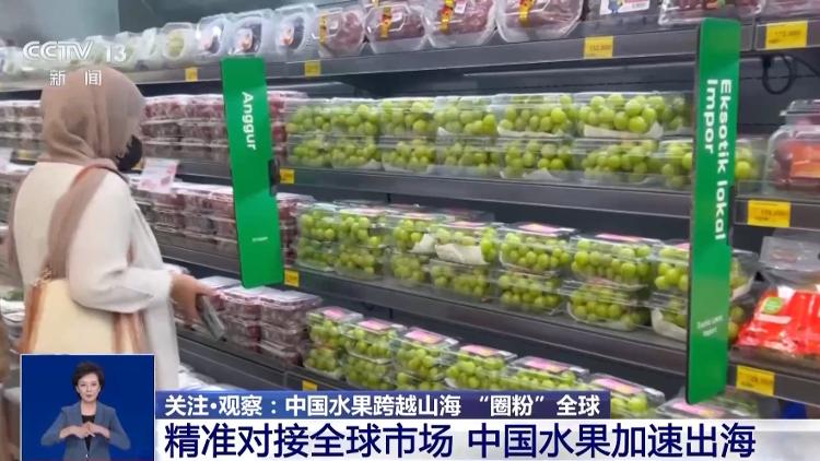 从枝头“鲜”到餐桌中国水果如何跨越山海“圈粉”全球？_大众网开云电竞(图11)