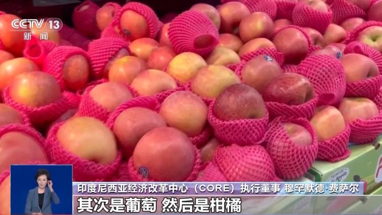 从枝头“鲜”到餐桌中国水果如何跨越山海“圈粉”全球？_大众网开云电竞(图12)