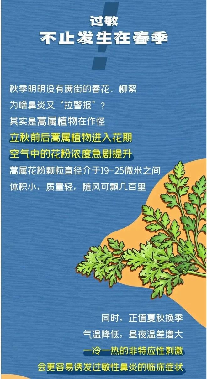 开云电竞app:兰州市林业和草原局：开始清除蒿草(图2)