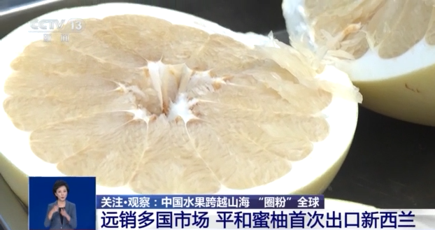 开云电竞入口:从枝头“鲜”到餐桌中国水果如何跨越山海“圈粉”全球？(图5)