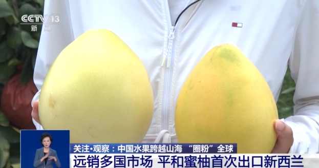 开云电竞入口:从枝头“鲜”到餐桌中国水果如何跨越山海“圈粉”全球？(图4)