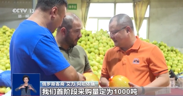 开云电竞入口:从枝头“鲜”到餐桌中国水果如何跨越山海“圈粉”全球？(图7)