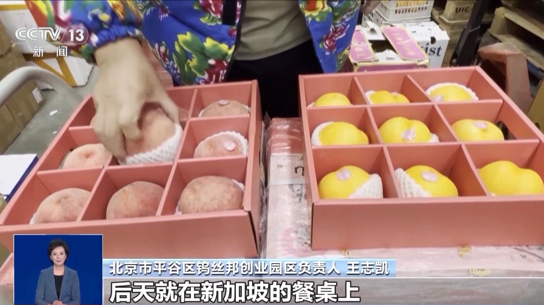 开云电竞入口:从枝头“鲜”到餐桌中国水果如何跨越山海“圈粉”全球？(图11)