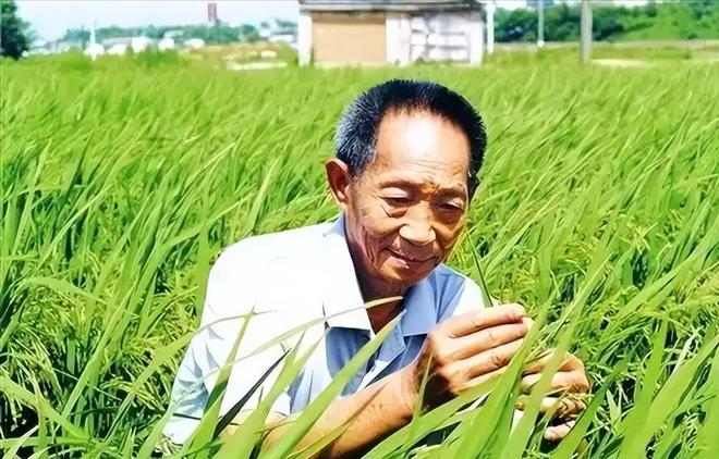 开云电竞app:中国再破世界第一！化学合成“粮食”将量产不种地也能粮食自由(图4)