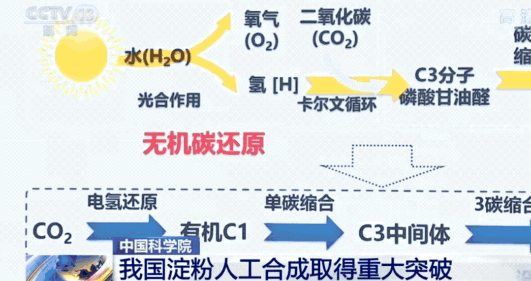 开云电竞app:中国再破世界第一！化学合成“粮食”将量产不种地也能粮食自由(图7)
