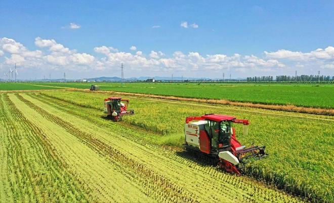 开云电竞app:中国再破世界第一！化学合成“粮食”将量产不种地也能粮食自由(图15)