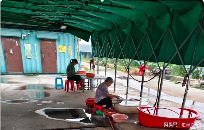 开云电竞入口:水乡“绿宝石”铺就振兴路大楼社区“水八仙”产业致富见闻(图2)
