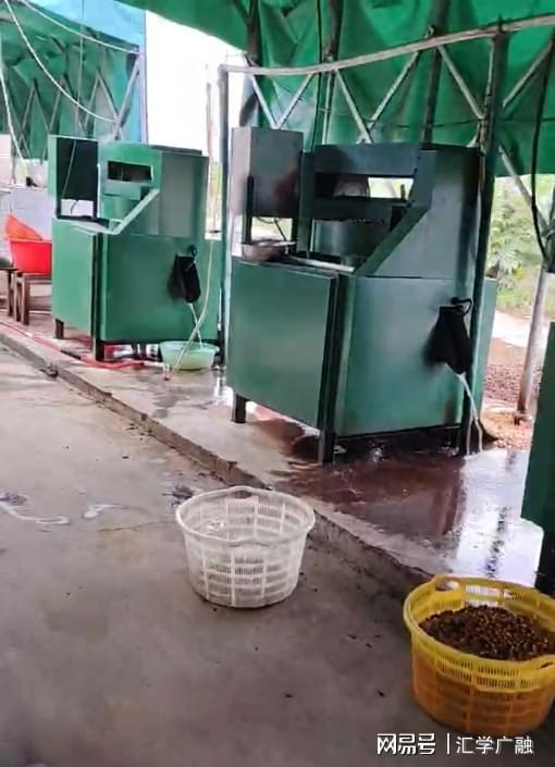 开云电竞入口:水乡“绿宝石”铺就振兴路大楼社区“水八仙”产业致富见闻(图7)