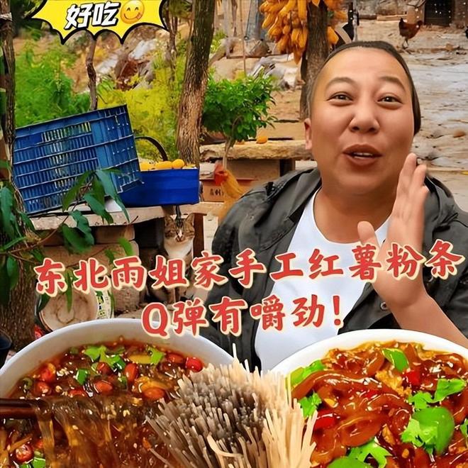 央视怒批国务院点名封杀！这几位蒙骗老百姓的大网红彻底凉凉(图4)