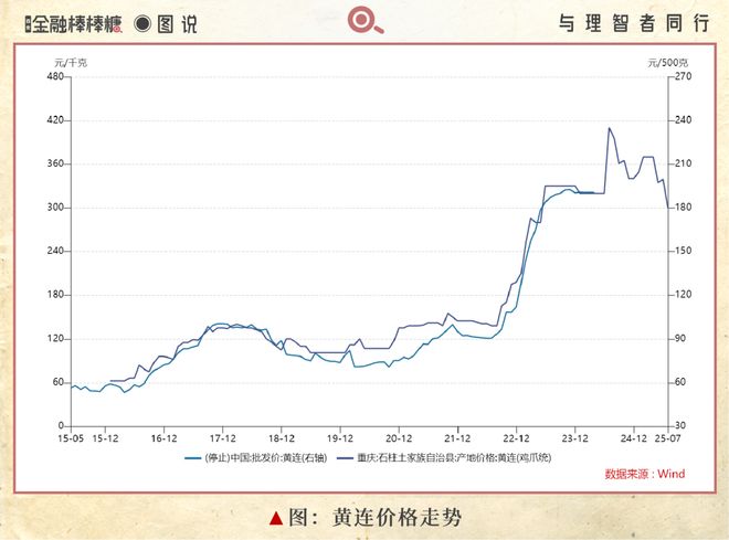 开云电竞50亿滴灌“秦药”：静等黄连熟透(图4)