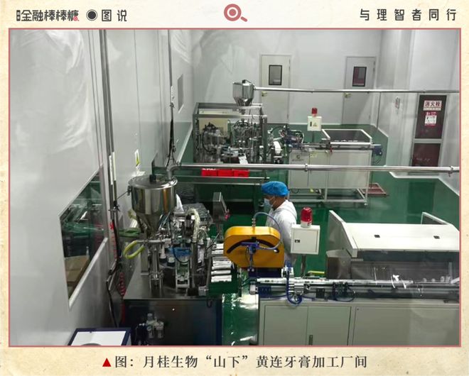 开云电竞50亿滴灌“秦药”：静等黄连熟透(图3)