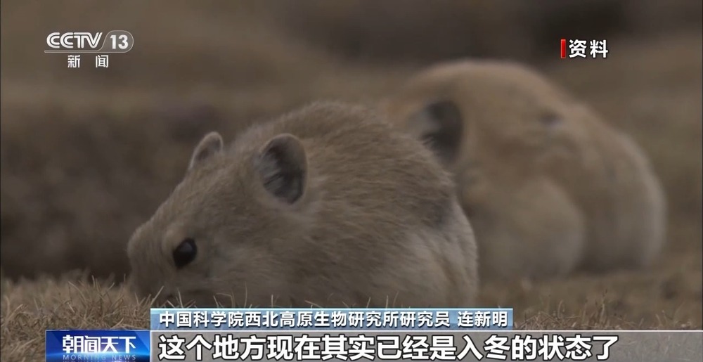 喜马拉雅山烟花秀引争议记者探访：现场仍有痕迹开云电竞(图6)
