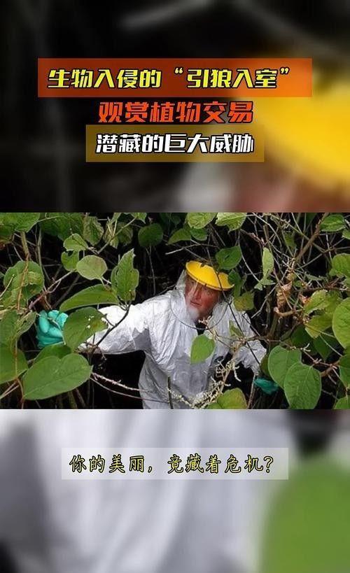 海关截获美国“特工蚊”多种病毒最快7天发作又来祸害中国？开云电竞(图4)