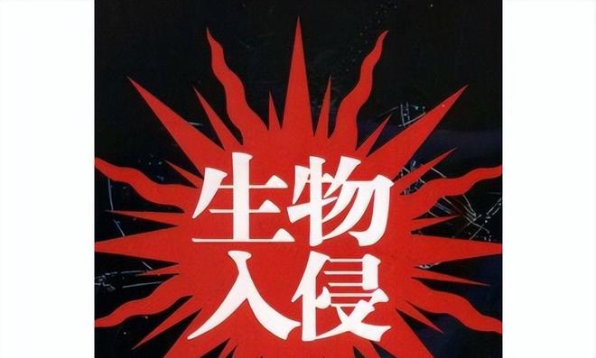 海关截获美国“特工蚊”多种病毒最快7天发作又来祸害中国？开云电竞(图2)