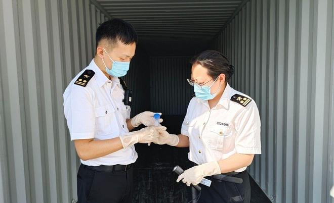海关截获美国“特工蚊”多种病毒最快7天发作又来祸害中国？开云电竞(图3)