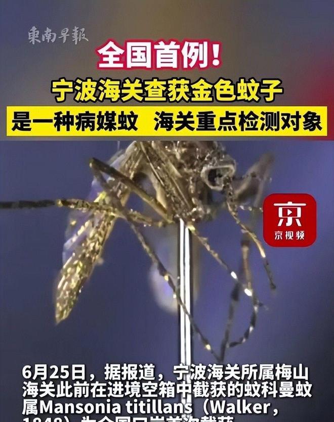 海关截获美国“特工蚊”多种病毒最快7天发作又来祸害中国？开云电竞(图9)