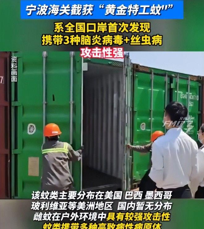 海关截获美国“特工蚊”多种病毒最快7天发作又来祸害中国？开云电竞(图14)