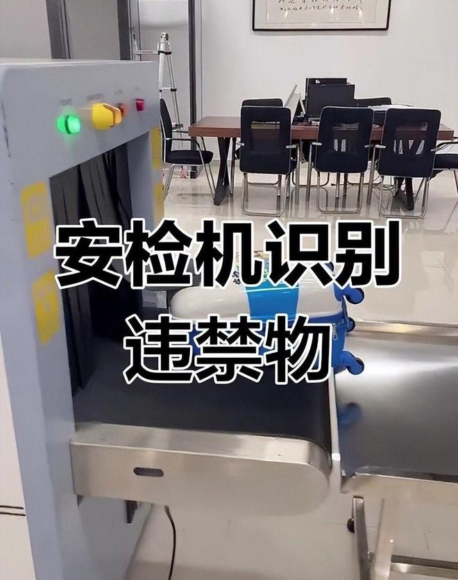 海关截获美国“特工蚊”多种病毒最快7天发作又来祸害中国？开云电竞(图17)