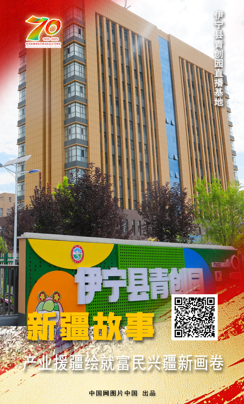 开云电竞:新疆故事产业援疆绘就富民兴疆新画卷【海报】(图3)