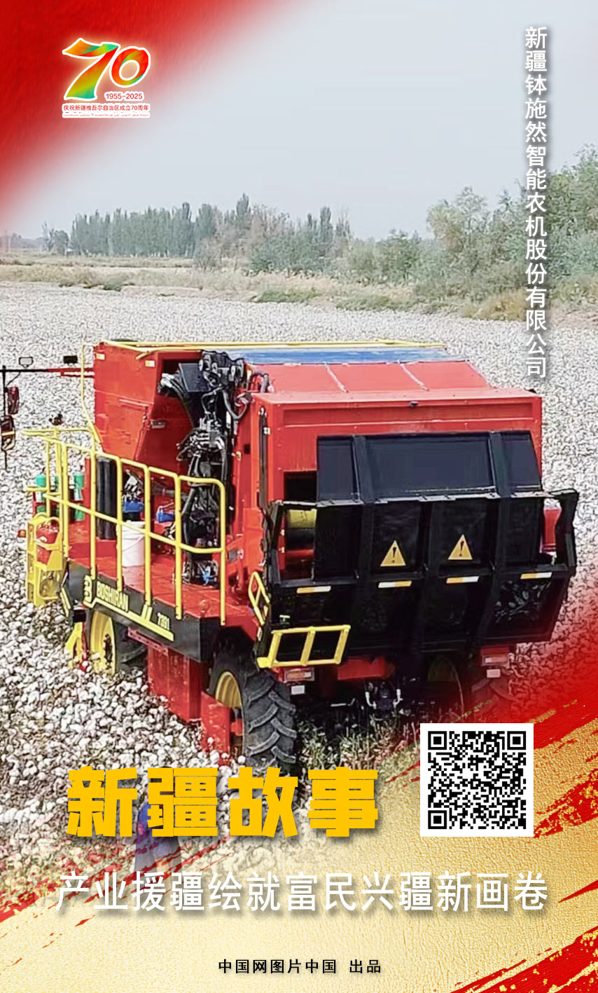 开云电竞:新疆故事产业援疆绘就富民兴疆新画卷【海报】(图4)