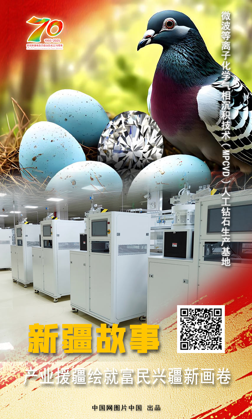 开云电竞:新疆故事产业援疆绘就富民兴疆新画卷【海报】(图8)