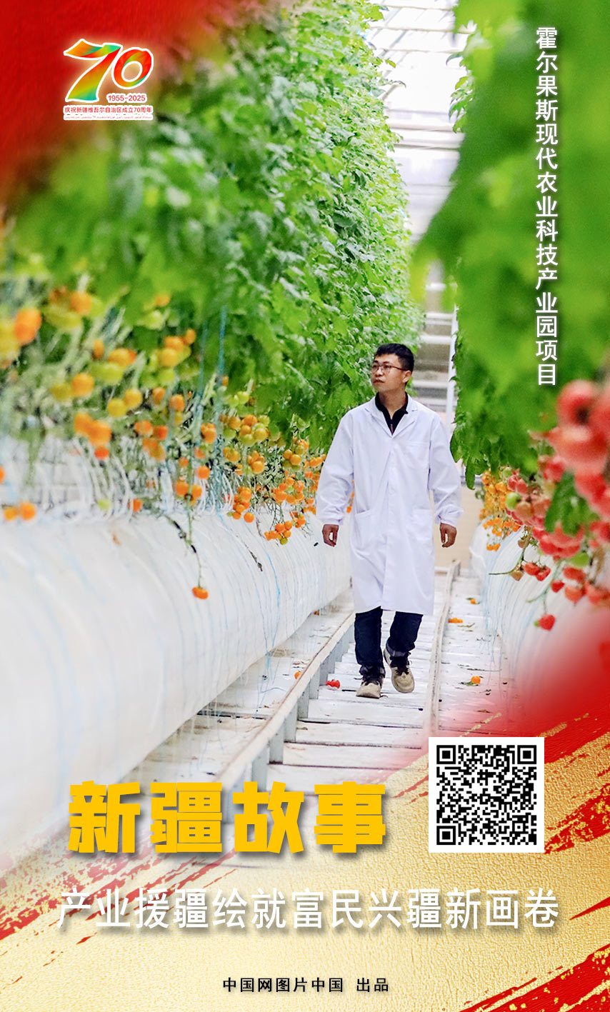 开云电竞:新疆故事产业援疆绘就富民兴疆新画卷【海报】(图11)
